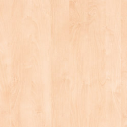 White Birch | Wood panels | UNILIN Division Panels