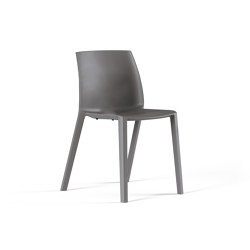 Ador | Chairs | FREZZA