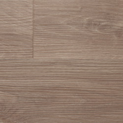 Altro Ensemble™ / M 500 125x1000 Greige Striking Oak | Colour brown | Altro