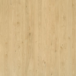 Wooden panels Elements Hardwood | Oak Panels for furniture | Wood panels | Admonter Holzindustrie AG