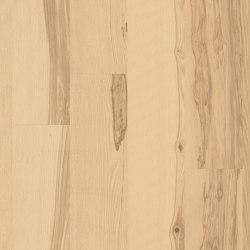 Stammbaum Kollektion | Kernesche Natura basic | Wood flooring | Admonter Holzindustrie AG