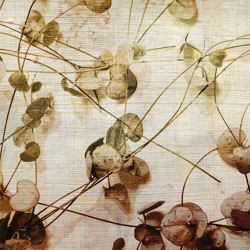 Botanika | Leaves | Wall coverings / wallpapers | Officinarkitettura