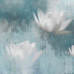 Botanika | Lotus | Wall coverings / wallpapers | Officinarkitettura
