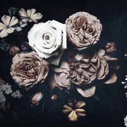 Botanika | Roses | Ceramic tiles | Officinarkitettura