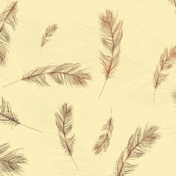 Déco | Feathers | Wall coverings / wallpapers | Officinarkitettura