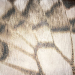 Essence | Butterfly | Wall coverings / wallpapers | Officinarkitettura