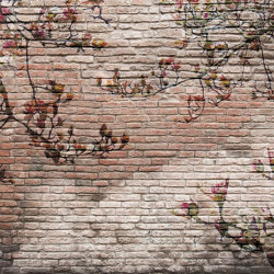 Materia | Magnolia | Wall coverings / wallpapers | Officinarkitettura