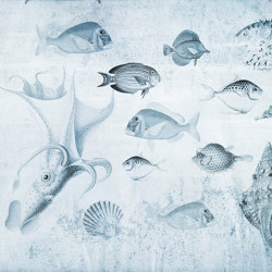 Nature | Aquarium Blu | Piastrelle ceramica | Officinarkitettura