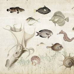 Nature | Aquarium | Wall coverings / wallpapers | Officinarkitettura
