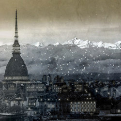 Nuovi Mondi | Torino | Wall coverings / wallpapers | Officinarkitettura