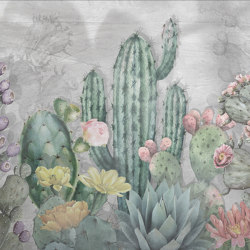 Panorama | Cactus | Wall coverings / wallpapers | Officinarkitettura