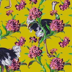 Simone Guidarelli® | Ostriches Yellow | Wall coverings / wallpapers | Officinarkitettura