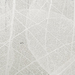 Trame | Leaf | Wall coverings / wallpapers | Officinarkitettura