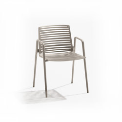 Zebra chair with armrests
