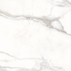 Unique Marble Calacatta Regale | Ceramic tiles | EMILGROUP