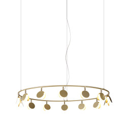Shell 7357 | Suspended lights | MANTRA