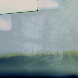 Greenhouse | Wandbeläge / Tapeten | GLAMORA