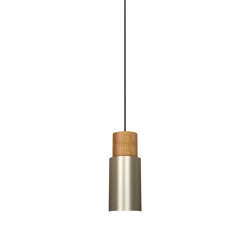 Log 10 Pendant Light Brushed Brass | Suspended lights | Valaisin Grönlund