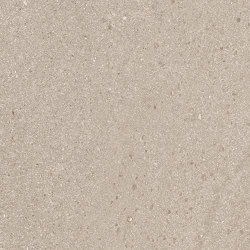 Baltic Taupe
