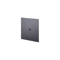 Door for Frame 35, Black Stained Ash | Shelving | Audo Copenhagen