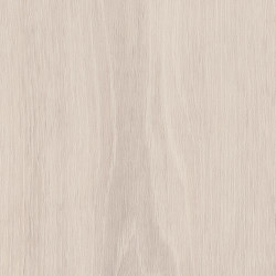 Spacia Woods - 0,55 mm | Iced Oak |  | Amtico
