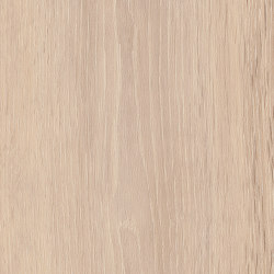 Spacia Woods - 0,55 mm | Powdered Oak |  | Amtico