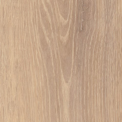 Spacia Woods - 0,55 mm | Muted Oak