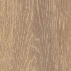Spacia Woods - 0,55 mm | Mulled Oak | Synthetic panels | Amtico
