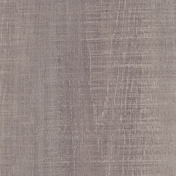 Spacia Woods - 0,55 mm | Urban Salvaged Timber | Vinyl flooring | Amtico