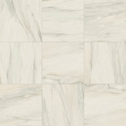 Foyer Royal | Delicate 60 Reflex | Ceramic tiles | Marca Corona