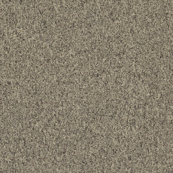 Heuga 727 4122129 Copra | Carpet tiles | Interface