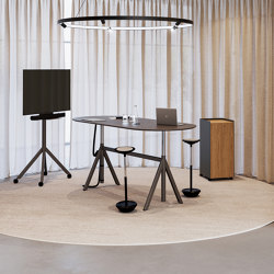 Slide height-adjustable meeting table | Standing tables | RENZ