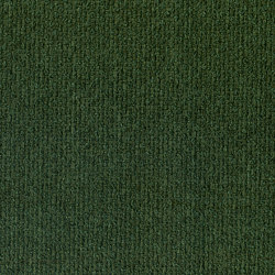 Barolo | Colour Pine 803 | Drapery fabrics | DEKOMA