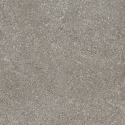 Grå Fine RR12 | Ceramic tiles | Mirage
