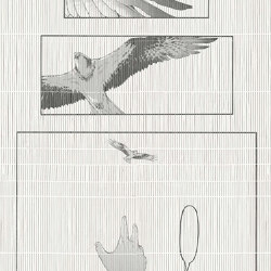 Falco Bamboo | Wandbilder / Kunst | TECNOGRAFICA