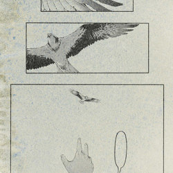 Falco Paper | Wandbilder / Kunst | TECNOGRAFICA