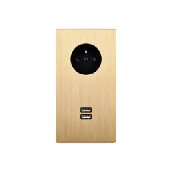 Brushed Brass - Double vertical cover plate - 1 Socket - 1 double USB charger slot |  | Modelec