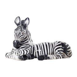 Zebra Sdraiata
