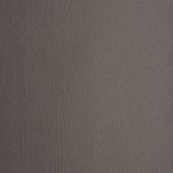 Alfa Surfaces | Intra | 0074 | Wall panels | Alfa Wood Group