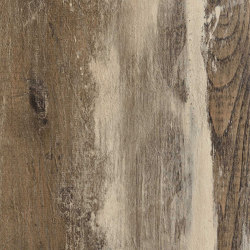 Alfa Tops | 24 L | Wall panels | Alfa Wood Group