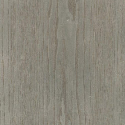 Alfa Xilo | Frassino Greige | Wall panels | Alfa Wood Group