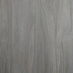 Alfa Xilo | Gray Volcanic | Wall panels | Alfa Wood Group