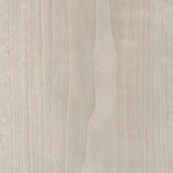 Alfa Xilo | Noce Greige | Wall panels | Alfa Wood Group