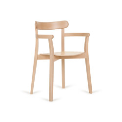 B-4420 | Chairs | Paged Meble
