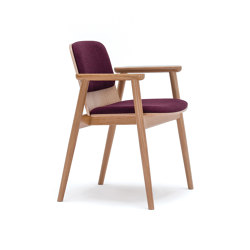 B-4395 | with armrests | Paged Meble