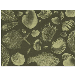 Flossil | FL3.01.1 | 200 x 300 cm | Tappeti / Tappeti design | YO2