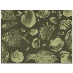 Flossil | FL3.01.1 | 300 x 400 cm | Tappeti / Tappeti design | YO2