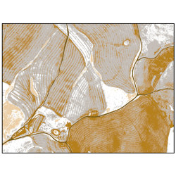 Birds Eye View | BI3.02.2 | 300 x 400 cm | Rugs | YO2