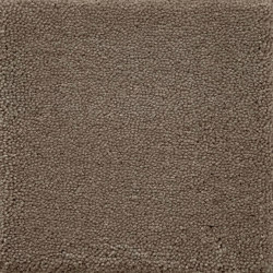 Rugs | Carpets / Rugs
