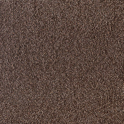 CoffeeBeans | Vinyl flooring | Beauflor